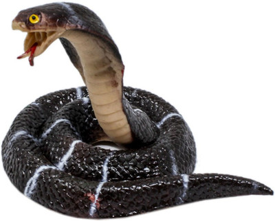 Tootpado Realistic Rubber Snake Toy Round Cobra - Black (2FNS88) - Garden Props Prank Gag Gifts(Black)
Tootpado Realistic Rubber Snake Toy Round Cobra - Black (2FNS88) - Garden Props Prank Gag Gifts(Black)