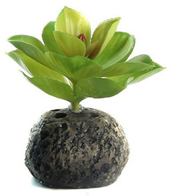 SRI Fish High Quality Non-Toxic Aquarium Decorative Artificial Plastic Plant Ornament for Fish Tank (Green) Aquarium Plant Anchor({Plant Anchors1)
SRI Fish High Quality Non-Toxic Aquarium Decorative Artificial Plastic Plant Ornament for Fish Tank (Green) Aquarium Plant Anchor({Plant Anchors1)