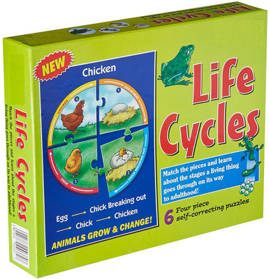 Tingoking Chicken Life Cycles Animals Grow & Change(4 Pieces)