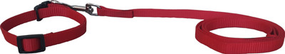 W9 W9 Imported High Quality Nylon Leash With Collar Set For Puppy -1 CM 114 cm Dog & Cat Strap Leash(Red)
W9 W9 Imported High Quality Nylon Leash With Collar Set For Puppy -1 CM 114 cm Dog & Cat Strap Leash(Red)