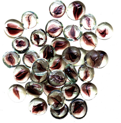 Decor Pebbles FSP063 Vase Filler(GLASS PEBBLES 1kg)