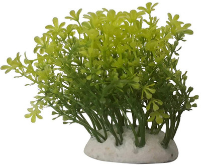 Foodie Puppies Fish Aquarium Decorative Artificial Plastic Plant, Green Laterite Planted Substrate(Green)
Foodie Puppies Fish Aquarium Decorative Artificial Plastic Plant, Green Laterite Planted Substrate(Green)