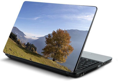 PrintHunt MULTICOLOR-337 VINYL Laptop Decal 15.6