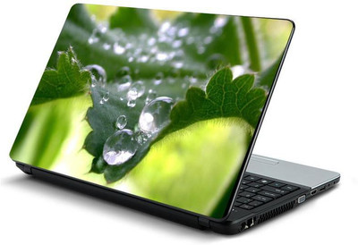 PrintHunt MULTICOLOR-466 VINYL Laptop Decal 15.6