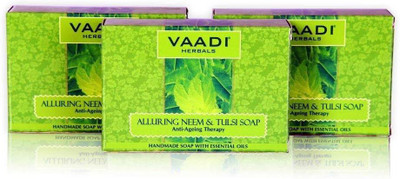 Vaadi Herbals Alluring Neem-Tulsi Soap with Vitamin E & Tea Tree Oil (75 Gms)(75 g, Pack of 3)
Vaadi Herbals Alluring Neem-Tulsi Soap with Vitamin E & Tea Tree Oil (75 Gms)(75 g, Pack of 3)