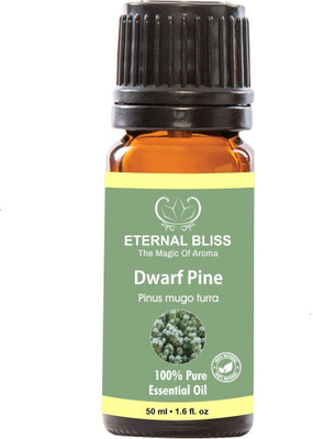 Eternal Bliss Dwarf Pine Essential Oil, 100% Pure, & Undiluted (50ML)(50 ml)