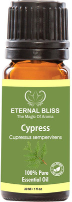 Eternal Bliss Cypress Essential Oil, 100% Pure, & Undiluted(30ML)(30 ml)