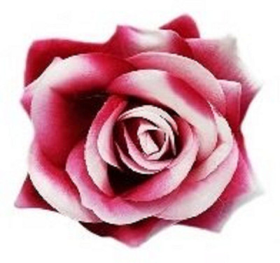 RAAYA Pink colour Artificial Rose Flower Hair Pin For Girls & women Hair Pin, Hair Clip, Hair Accessory Set(Pink)
RAAYA Pink colour Artificial Rose Flower Hair Pin For Girls & women Hair Pin, Hair Clip, Hair Accessory Set(Pink)