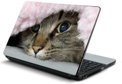 PrintHunt MULTICOLOR-228 VINYL Laptop Decal 15.6