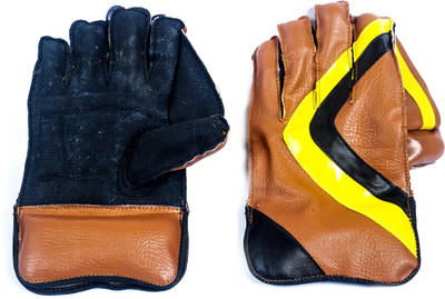 Acorn® Cricket Wicket Keeping Gloves - Comfortable (Foum Ping Pong Model) Wicket Keeping Gloves (, Multicolor
Acorn® Cricket Wicket Keeping Gloves - Comfortable (Foum Ping Pong Model) Wicket Keeping Gloves (, Multicolor