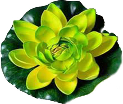 Hug Me Hug Me Home decorates floating Lotus Flower (7 inch, Pack of 1) Green Assorted Artificial Flower(35.5 inch, Pack of 1)
Hug Me Hug Me Home decorates floating Lotus Flower (7 inch, Pack of 1) Green Assorted Artificial Flower(35.5 inch, Pack of 1)