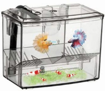 Aquapetzworld HUEY HUNG External Hang-on Breeding House 1.25L Rectangle Aquarium Tank(1.25)
Aquapetzworld HUEY HUNG External Hang-on Breeding House 1.25L Rectangle Aquarium Tank(1.25)