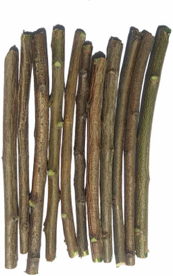 kaykon Fresh Organic Neem Datun Chew Sticks Neem Twigs For Better Tooth, Gems and Health (10 pc) Toothpaste(100 g, Pack of 10) 
kaykon Fresh Organic Neem Datun Chew Sticks Neem Twigs For Better Tooth, Gems and Health (10 pc) Toothpaste(100 g, Pack of 10)