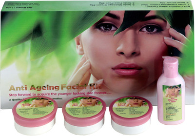 Insto Anti Ageing Facial Kit 140 g(Set of 4)