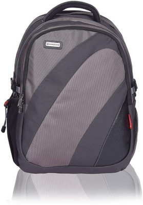 Harissons Fortner 40 L Laptop Backpack(Grey)