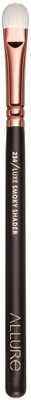 Allure Luxe Smoky Shader for eye shadow(Pack of 1)