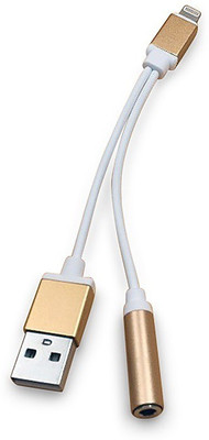 ReTrack Lightning To 3.5mm Headphone Jack Adapter & USB Charging for Ip 7,7 plus/ip 8,8plus USB Adapter(Gold)
ReTrack Lightning To 3.5mm Headphone Jack Adapter & USB Charging for Ip 7,7 plus/ip 8,8plus USB Adapter(Gold)