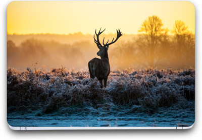 Gallery 83 ® nature Exclusive High Quality Laptop Decal, laptop skin sticker 15.6 inch (15 x 10) Inch G83_skin_4581new Vinyl Laptop Decal 15.6
Gallery 83 ® nature Exclusive High Quality Laptop Decal, laptop skin sticker 15.6 inch (15 x 10) Inch G83_skin_4581new Vinyl Laptop Decal 15.6