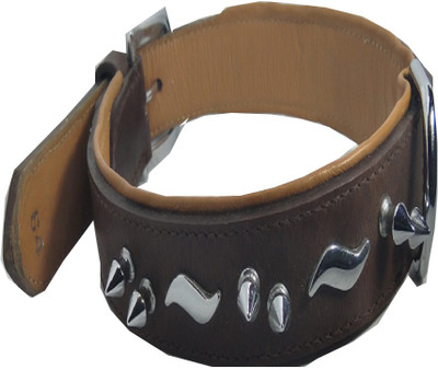 Fantastic Dog Dog Everyday Collar(, Brown