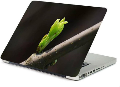 PrintHunt FASHION DESING MULTICOLOR Laptop Skin Sticker 3 MM LAPTOP STICKERS-301 VINYL Laptop Decal 15.6
PrintHunt FASHION DESING MULTICOLOR Laptop Skin Sticker 3 MM LAPTOP STICKERS-301 VINYL Laptop Decal 15.6