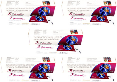wellona pharma PAINWELL(pack of 5) Gel(30 g)