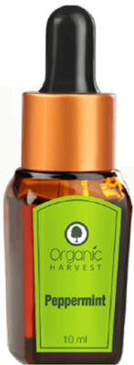 Giftshub Organic Harvest Peppermint essential oil(10 ml)
