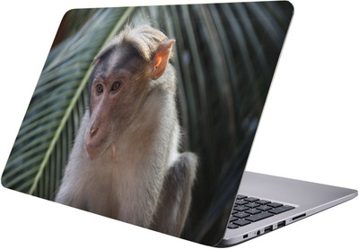PRINTCLUB monkey Laptop Sticker 15.6 inch-Premium Quality, UV Printed, Laminated, Bubble Free, Scratchproof Laptop Skin-298 Vinyl Laptop Decal 15.6
PRINTCLUB monkey Laptop Sticker 15.6 inch-Premium Quality, UV Printed, Laminated, Bubble Free, Scratchproof Laptop Skin-298 Vinyl Laptop Decal 15.6