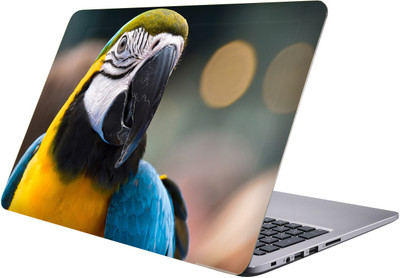 PRINTCLUB parrot Laptop Sticker 15.6 inch-Premium Quality, UV Printed, Laminated, Bubble Free, Scratchproof Laptop Skin-327 Vinyl Laptop Decal 15.6
PRINTCLUB parrot Laptop Sticker 15.6 inch-Premium Quality, UV Printed, Laminated, Bubble Free, Scratchproof Laptop Skin-327 Vinyl Laptop Decal 15.6