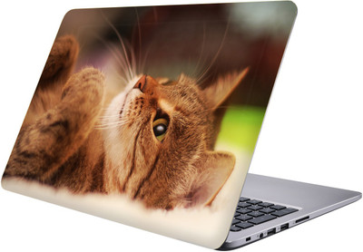 PRINTCLUB Laptop Sticker 15.6 inch-Premium Quality, UV Printed, Laminated, Bubble Free, Scratchproof Laptop Skin-128 Vinyl Laptop Decal 15.6
PRINTCLUB Laptop Sticker 15.6 inch-Premium Quality, UV Printed, Laminated, Bubble Free, Scratchproof Laptop Skin-128 Vinyl Laptop Decal 15.6