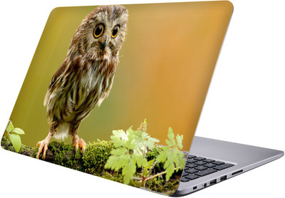 LUCANT owl Laptop Sticker 15.6 inch-Premium Quality, UV Printed, Laminated, Bubble Free, Scratchproof Laptop Skin-145 Vinyl Laptop Decal 15.6
LUCANT owl Laptop Sticker 15.6 inch-Premium Quality, UV Printed, Laminated, Bubble Free, Scratchproof Laptop Skin-145 Vinyl Laptop Decal 15.6