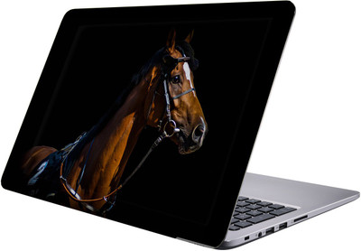 LUCANT Laptop Sticker 15.6 inch-Premium Quality, UV Printed, Laminated, Bubble Free, Scratchproof Laptop Skin-412 Vinyl Laptop Decal 15.6
LUCANT Laptop Sticker 15.6 inch-Premium Quality, UV Printed, Laminated, Bubble Free, Scratchproof Laptop Skin-412 Vinyl Laptop Decal 15.6