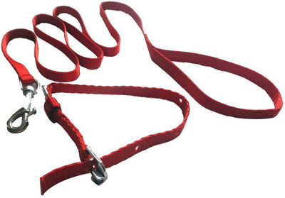 Prince products Puppy set Dog Collar & Leash(, Red