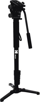 Kodak M530 180cm with Fluid head & Support base Monopod(Black, Supports Up to 6000 g) 
Kodak M530 180cm with Fluid head & Support base Monopod(Black, Supports Up to 6000 g)
