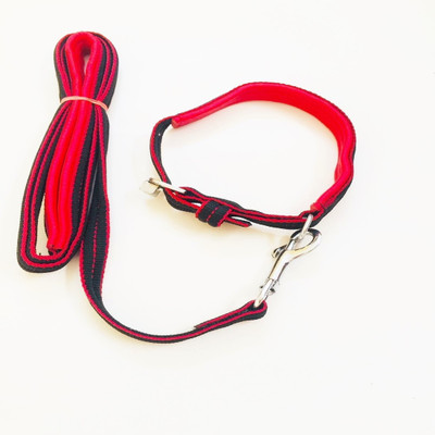 Petsnhuman Padded Collar with Leash- Dog Collar & Leash(, Black, Red