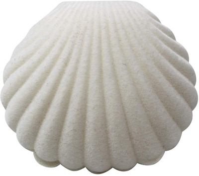 SYGA Sea Shell Shape Jewelry Box for Earring Ring Necklace Display Storage Organizer Gift (White) Jewellery Vanity Box(White)
SYGA Sea Shell Shape Jewelry Box for Earring Ring Necklace Display Storage Organizer Gift (White) Jewellery Vanity Box(White)