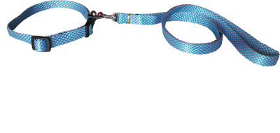 W9 Designer Nylon Leash and Adjustable Collar Set for Puppy- for Tracking, Patrolling, Walking, and Training -Length- 46 inches, Width-0.6 inch 116 cm Dog Strap Leash(Blue)
W9 Designer Nylon Leash and Adjustable Collar Set for Puppy- for Tracking, Patrolling, Walking, and Training -Length- 46 inches, Width-0.6 inch 116 cm Dog Strap Leash(Blue)