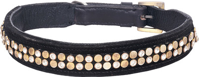 PETSTAR Dog Everyday Collar(, Black