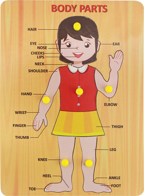Miss & Chief Wooden Puzzle Human Body Parts Characters Tray with Knobs | Pre-School Game Toys | Wooden Tray | Learning Tray For Kids | Non-Toxic- Multicolour(1 Pieces)
Miss & Chief Wooden Puzzle Human Body Parts Characters Tray with Knobs | Pre-School Game Toys | Wooden Tray | Learning Tray For Kids | Non-Toxic- Multicolour(1 Pieces)