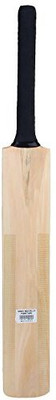 W SIGNATURE T-20 Master Poplar Willow Cricket Bat(, .900 kg