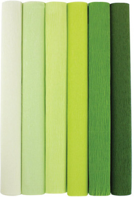 Just Flowers Premium Crepe Paper Rolls - 8ft Length/20in Width (6pcs, Color Shades of Green)
Just Flowers Premium Crepe Paper Rolls - 8ft Length/20in Width (6pcs, Color Shades of Green)