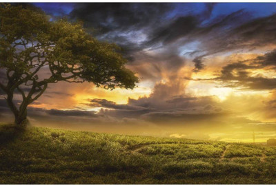 Akhuratha One Tree Hill Fine Quality Wall Poster Paper Print(12 inch X 18 inch, Rolled)
Akhuratha One Tree Hill Fine Quality Wall Poster Paper Print(12 inch X 18 inch, Rolled)