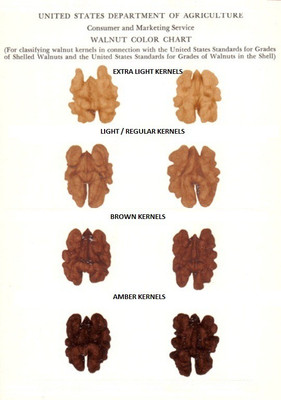 3P Extra Light Kashmiri Akhrot/ dryfruit/ without shell/ walnut kernels -2000 gm Walnuts(2000 g, Vacuum Pack)