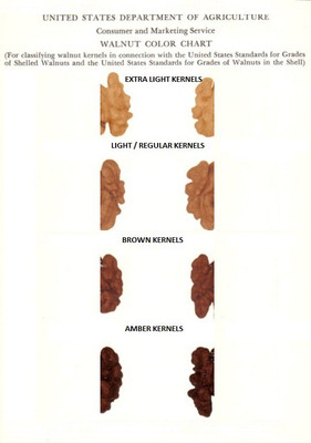 3P White Quarter Kashmiri Akhrot/ dryfruit/ without shell/ walnut kernels-1000 gm Walnuts(1000 g, Vacuum Pack)
3P White Quarter Kashmiri Akhrot/ dryfruit/ without shell/ walnut kernels-1000 gm Walnuts(1000 g, Vacuum Pack)