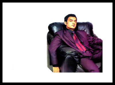 Aabhaas Amir Khan Wall Poster Fine Art Print(12 inch X 18 inch, Rolled)