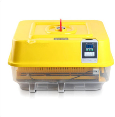 BuyChoice FPNV1D121 Egg Incubator
