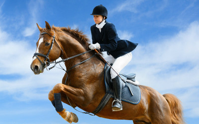Sports Show Jumping Horse Woman Equestrian HD Wall Poster Paper Print(12 inch X 18 inch, Rolled)
Sports Show Jumping Horse Woman Equestrian HD Wall Poster Paper Print(12 inch X 18 inch, Rolled)