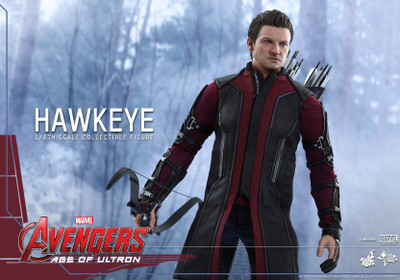 Akhuratha Poster Movie Avengers: Age Of Ultron The Avengers Hawkeye HD Wallpaper Background Fine Art Print(12 inch X 18 inch, Rolled)
Akhuratha Poster Movie Avengers: Age Of Ultron The Avengers Hawkeye HD Wallpaper Background Fine Art Print(12 inch X 18 inch, Rolled)