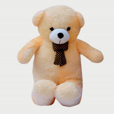 Ajay 4 Feet Standing Stuffed Spongy Hugable Cute Long Teddy Bear - 60.9 cm(Beige)
Ajay 4 Feet Standing Stuffed Spongy Hugable Cute Long Teddy Bear - 60.9 cm(Beige)