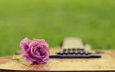 Music Guitar Wall Poster Fine Art Print(12 inch X 18 inch, Rolled)
Music Guitar Wall Poster Fine Art Print(12 inch X 18 inch, Rolled)