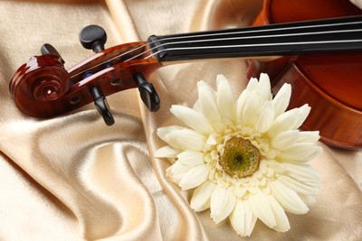 Akhuratha Music Violin Wall Poster Fine Art Print(12 inch X 18 inch, Rolled)